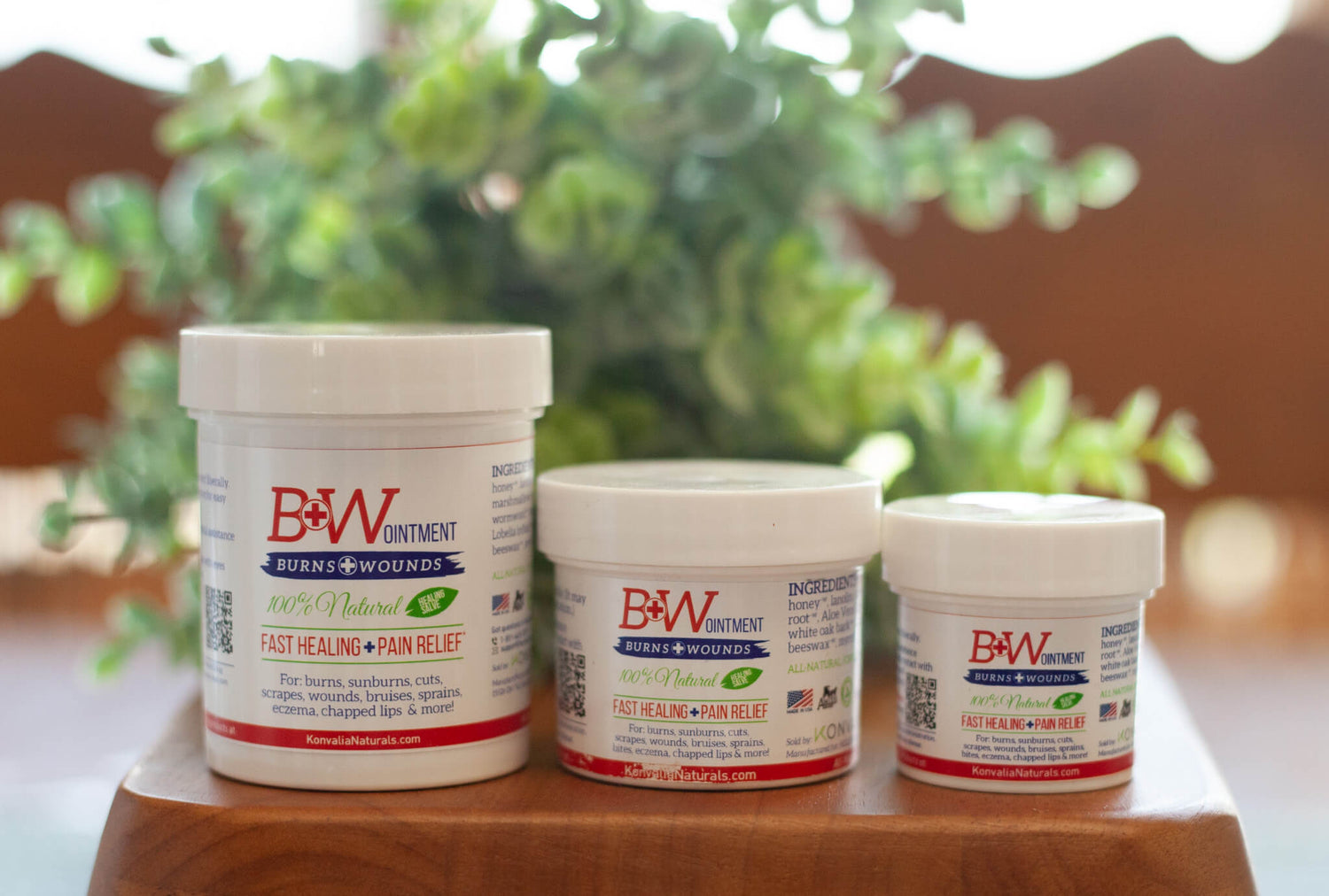 B&W Ointment - Amish Burn Cream